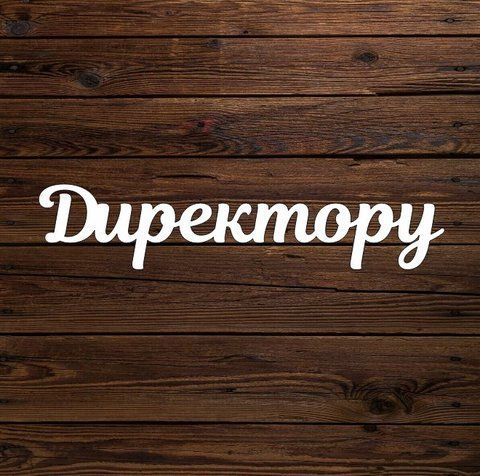 Топпер "Директору" 6113 фото
