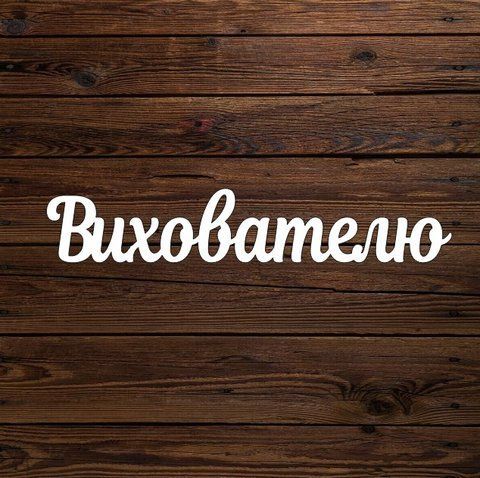 Топпер "Вихователю" 6121 фото